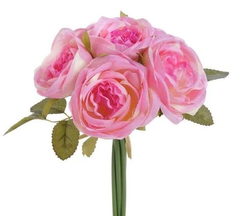 Kytička ruží La provence pink