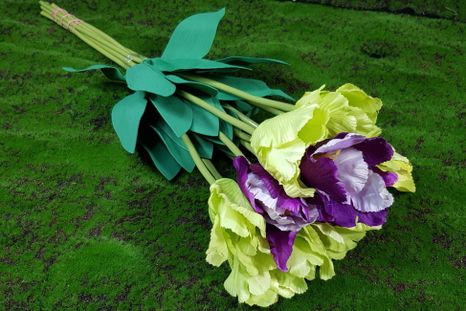 Kytička tulipánov 10ks green purple