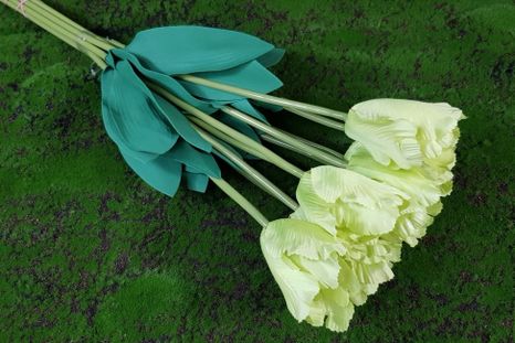 Kytička tulipánov 10ks light green (Poškodené)