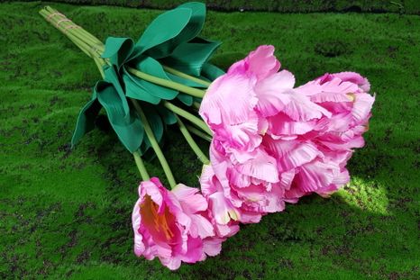 Kytička tulipánov 10ks pink