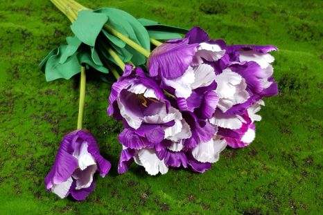 Kytička tulipánov 10ks purple