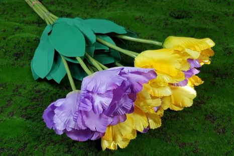 Kytička tulipánov 10ks yellow purple
