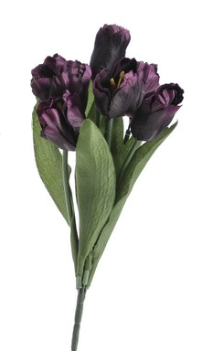 Kytička tulipánov Cyclamen