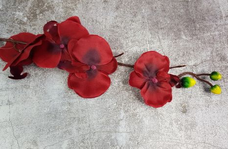 Orchidea color mix red (Poškodené)