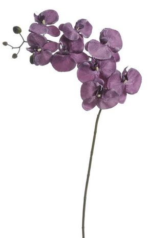 Orchidea Dark purple 100cm