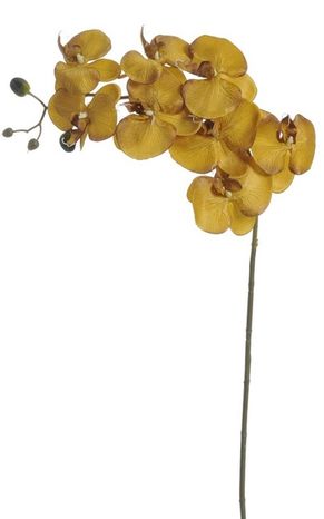 Orchidea Dark yellow 100cm