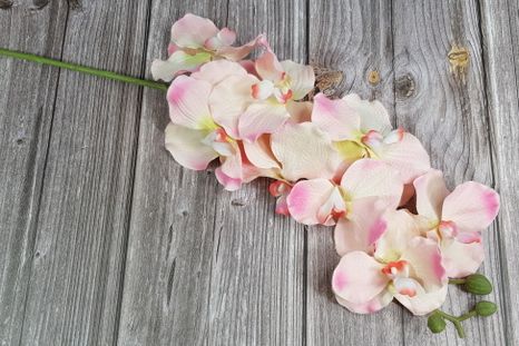 Orchidea Light pink (Poškodené)