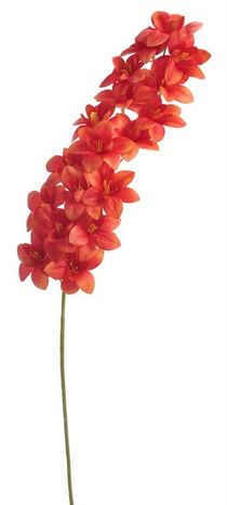 Orchidea mix 92cm