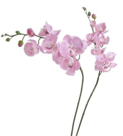 Orchidea Unique pink 98cm