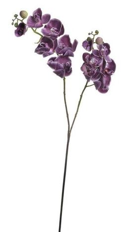 Orchidea Unique purple 98cm