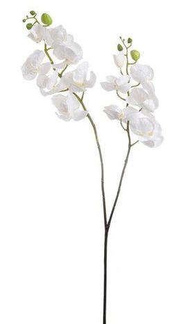 Orchidea Unique white 98cm