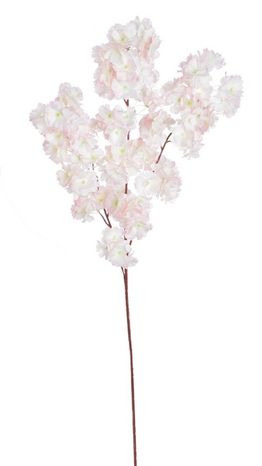 Rozkvitnutá halúzka Cherry blossom