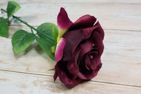 Ruža Burgundy (Poškodené)