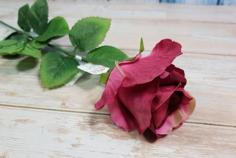 Ruža Cyclamen (Poškodené)