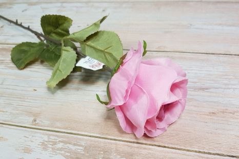 Ruža Matte pink (Poškodené)