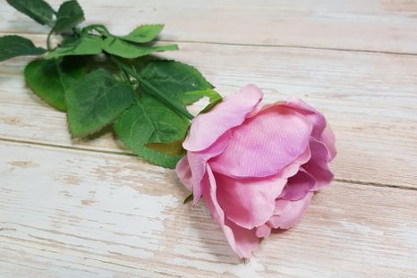 Ruža Pink (Poškodené)
