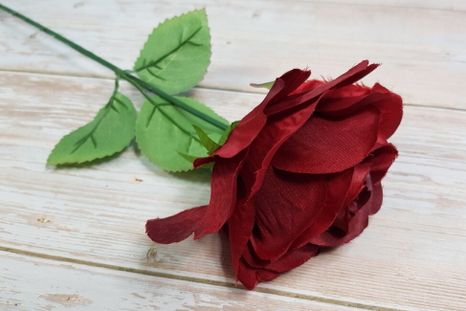 Ruža Red (Poškodené)