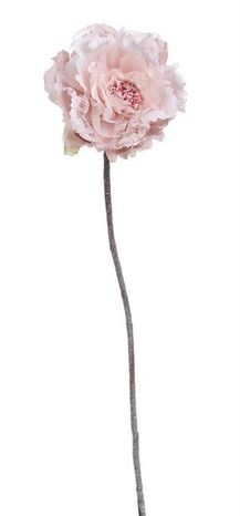Ruža s čipkou Poudre pink 46cm