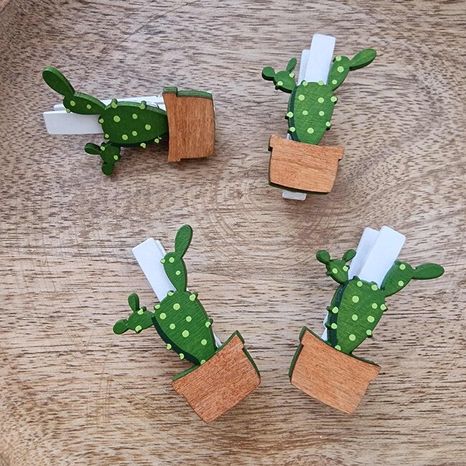 Set kaktusov na štipčeku Tropical 4ks