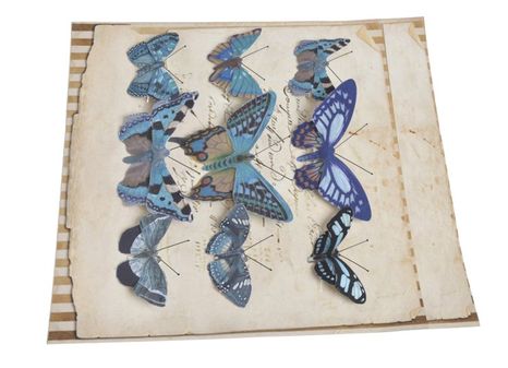 Set motýlikov Blue 9ks