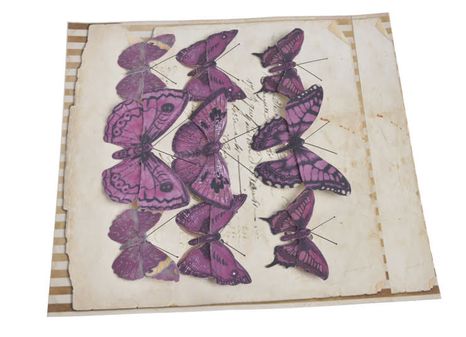 Set motýlikov dark purple 9ks