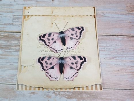 Set motýlikov Tropical pink XL 2ks