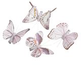Set motýlikov Lilac 8ks
