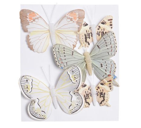 Set motýlikov White 5ks